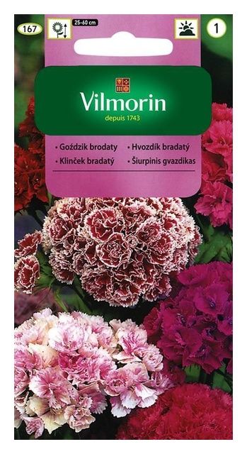 Goździk Brodaty Pełnokwiatowy 0,5g Vilmorin