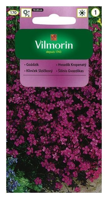 Goździk Kropkowany 0,5g Vilmorin