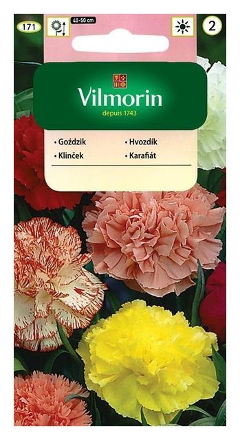 Goździk Ogrodowy Szabo 0,5g Vilmorin