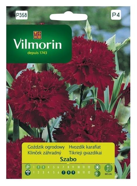 Goździk ogrodowy Szabo Vilmorin