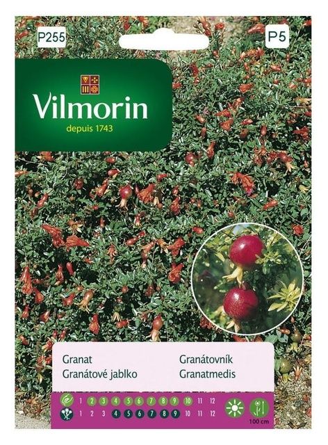 Granat Vilmorin