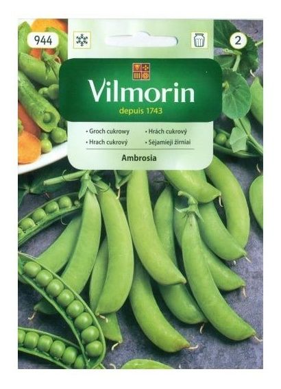 Groch siewny cukrowy Ambrosia 40g Vilmorin