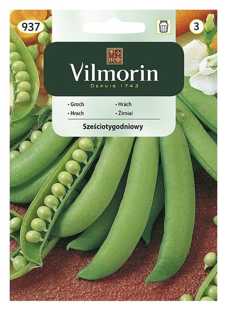 Groch Sześciotygodniowy 40g Vilmorin