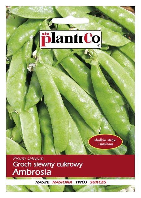 Groch cukrowy AMBROSIA 50g PlantiCo
