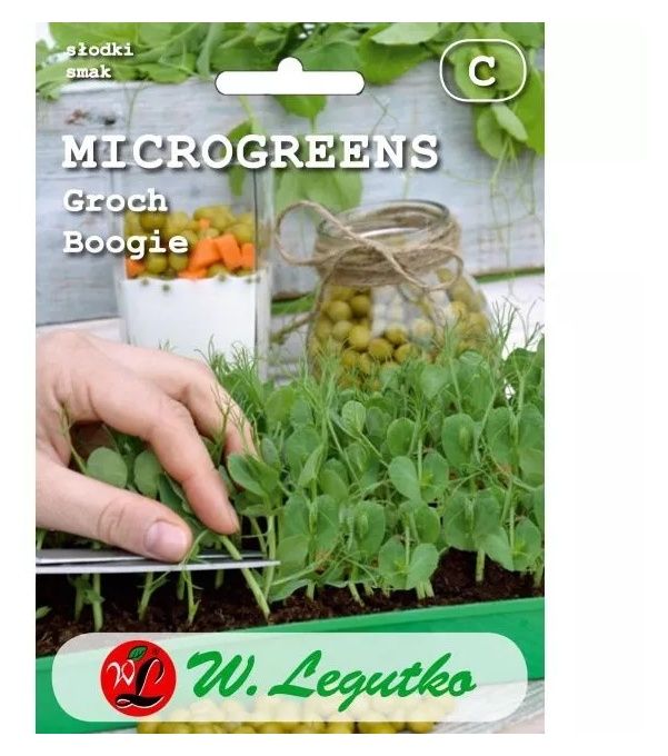 Groch siewny Boogie 5kg Legutko