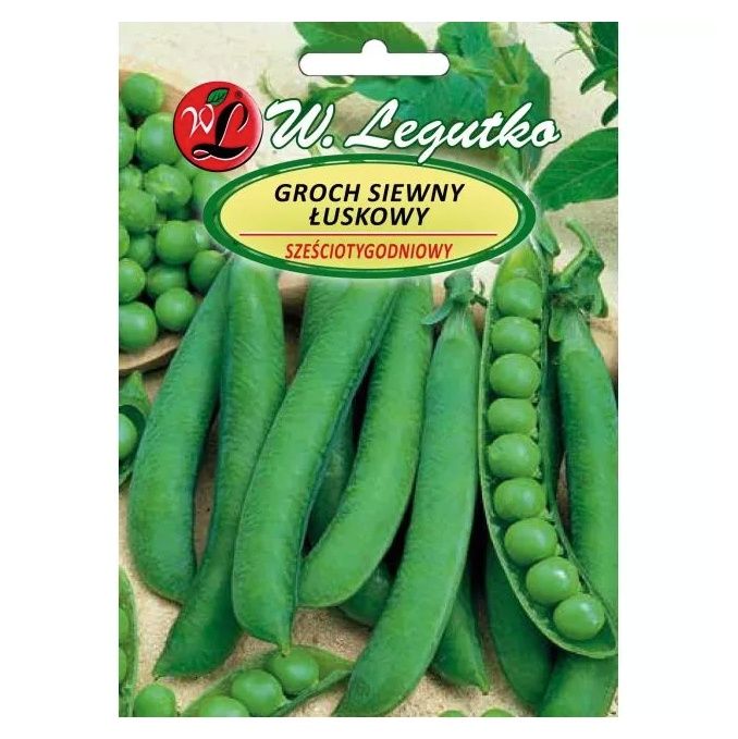 Groch Sześciotygodniowy 40g Legutko