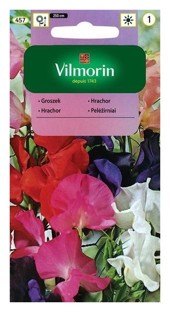 Groszek Pachnący 5g Vilmorin