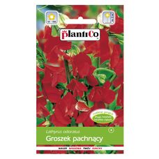 Groszek pachnący czerwony 2g PlantiCo