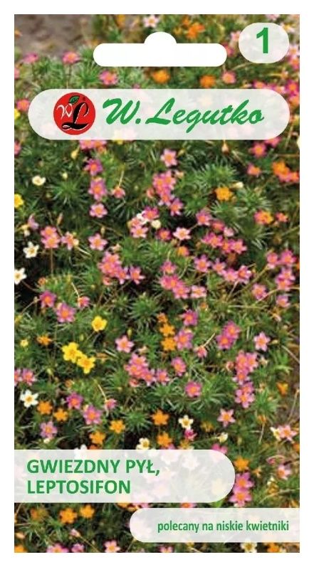 Gwiezdny pył Leptosifon mix 0,1g Legutko