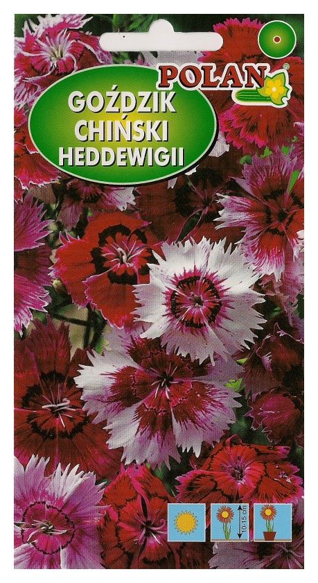 Goździk chiński Heddewigii mix 1g Polan