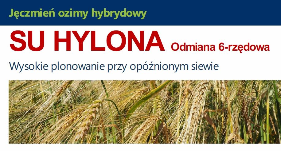 Jęczmień ozimy hybrydowy SU HYLONA 500 tys nasion SAATEN UNION
