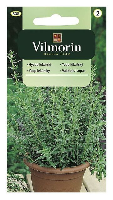 Hyzop Lekarski 0,2g Vilmorin