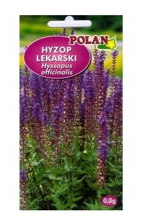 Hyzop lekarski 0,3g Polan