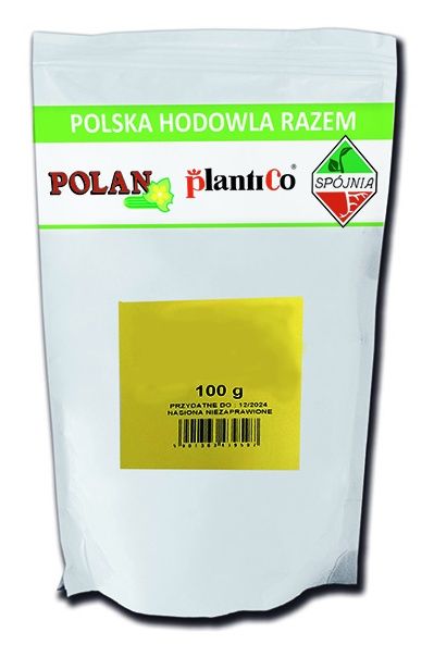 Cebula Agra zimująca 100 g Plantico