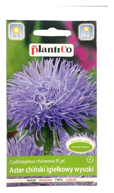 Aster chiński igiełkowy wysoki 1g PlantiCo