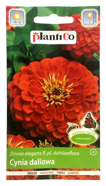 Cynia daliowa cynobrowa 1g PlantiCo