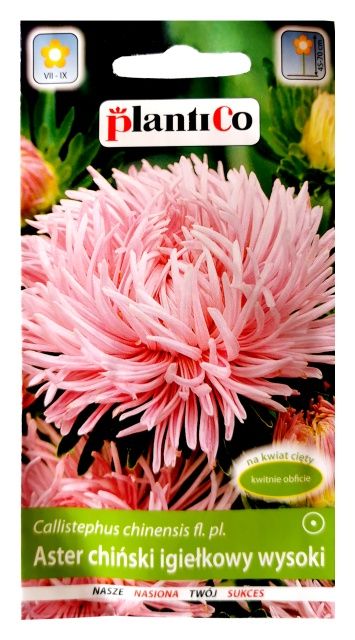 Aster chiński igiełkowy wysoki różowy 1g PlantiCo
