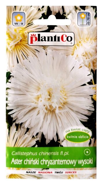 Aster chiński chryzantemowy wysoki biały 1g PlantiCo