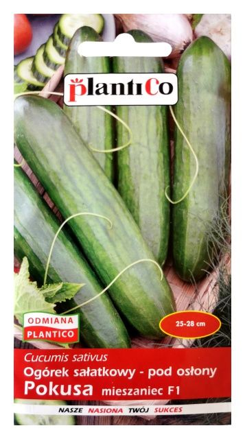 Ogórek sałatkowy Pokusa 1g PlantiCo