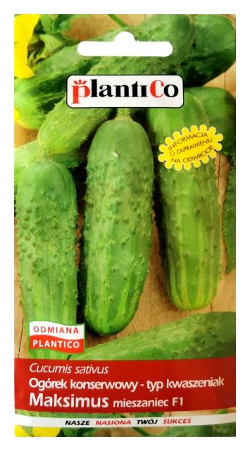 Ogórek konserwowy Maksimus 5g PlantiCo