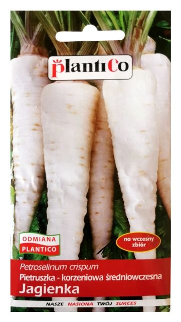 Pietruszka średniowczesna Jagienka 5g PlantiCo