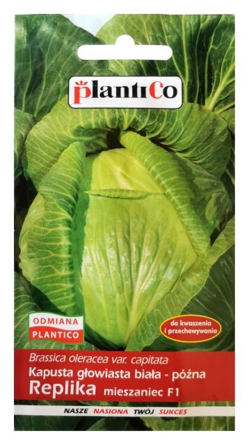 Kapusta głowiasta biała Replika 0,5g PlantiCo