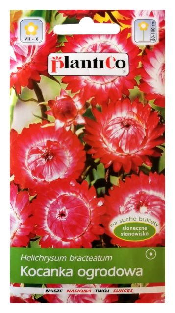 Kocanka ogrodowa różowa 1g PlantiCo 