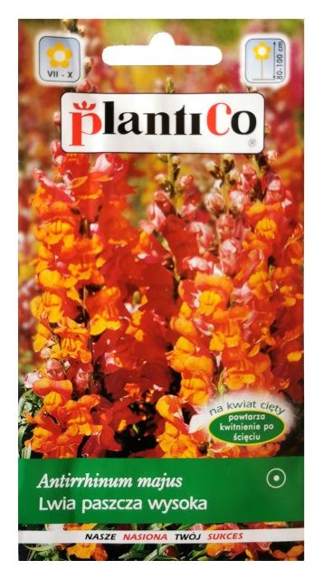 Lwia paszcza wysoka Cavalier 0,5g PlantiCo