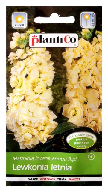 Lewkonia letnia kremowa Dora 0,5g PlantiCo