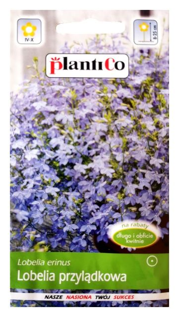Lobelia przylądkowa jasno niebieska 0,2g PlantiCo