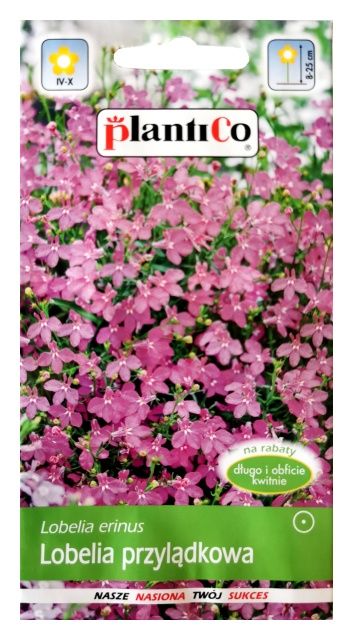 Lobelia przylądkowa różowa Ruby 0,2g PlantiCo