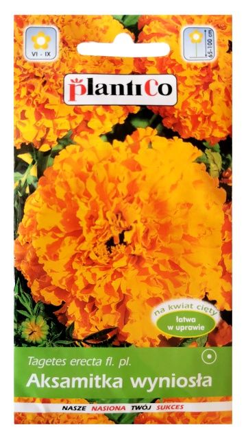 Aksamitka wyniosła pomarańczowa Hawaii 1g PlantiCo