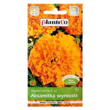 Aksamitka wyniosła pomarańczowa Hawaii 1g PlantiCo