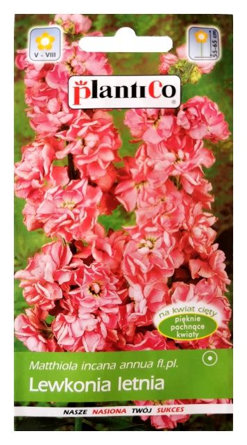 Lewkonia letnia Dana 0,5g PlantiCo
