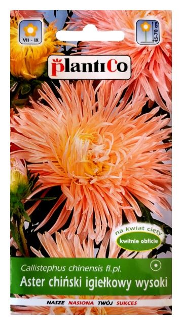 Aster chiński igiełkowy wysoki Ewa 1g PlantiCo