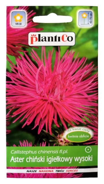 Aster chiński igiełkowy wysoki Krakowiak 1g PlantiCo