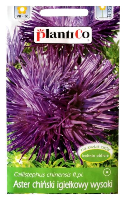 Aster chiński igiełkowy wysoki fioletowy 1g PlantiCo