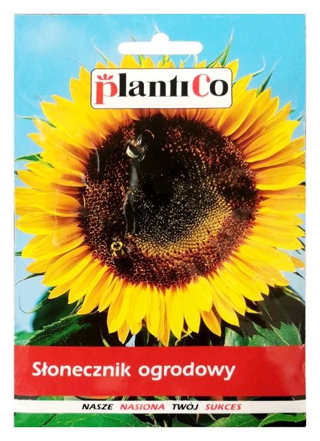 Słonecznik ozdobny Red Sun 2g PlantiCo