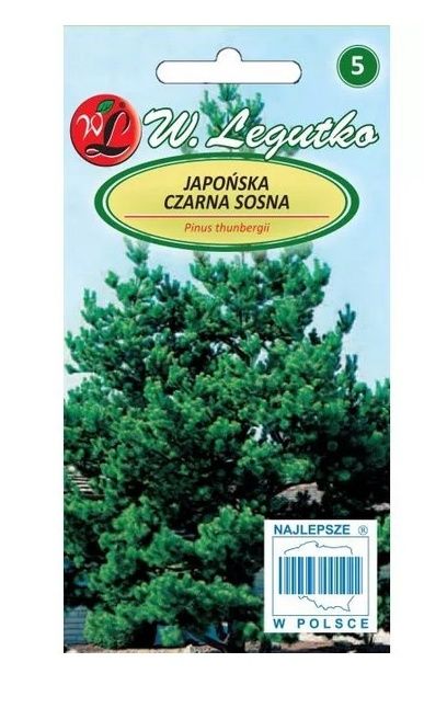 Japońska czarna sosna 0,3g Legutko