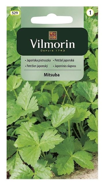 Japońska pietruszka Mitsuba 0,5g Vilmorin