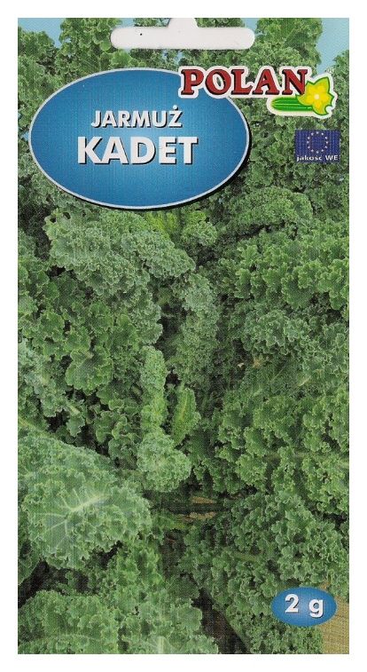 Jarmuż Kadet 2g Polan