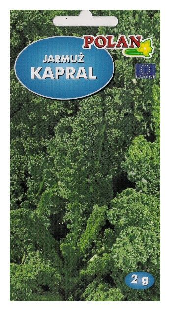 Jarmuż Kapral 2g Polan