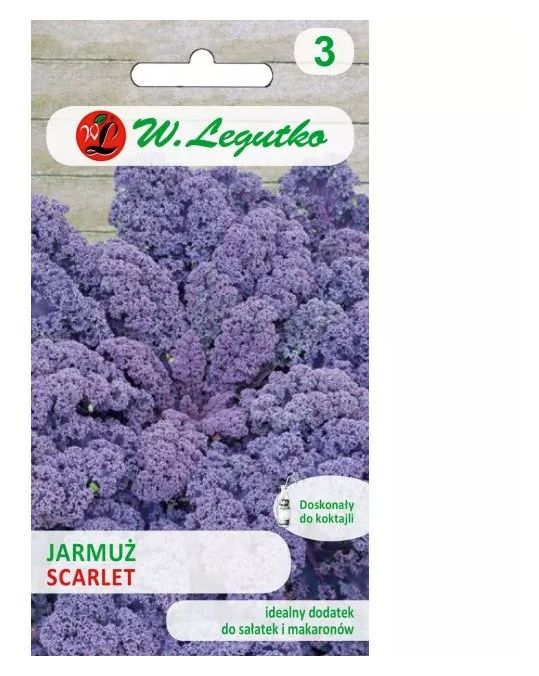 Jarmuż Scarlet 1g Legutko