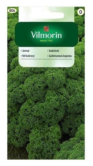 Jarmuż Halbhoher Groener Krauser 2g Vilmorin