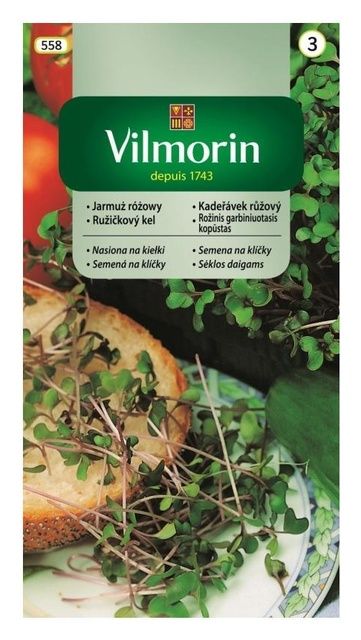 Jarmuż różowy na kiełki 10g Vilmorin