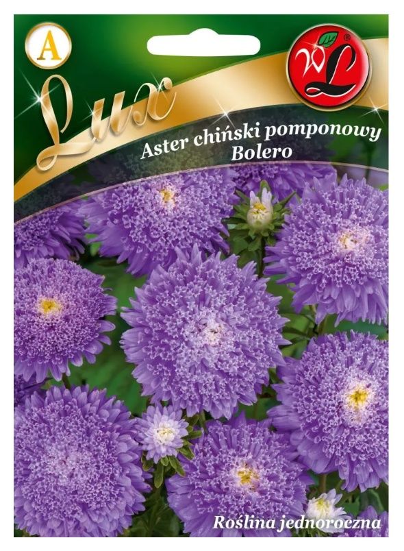 Aster chiński Bolero jasnoniebieski 0,5g Legutko