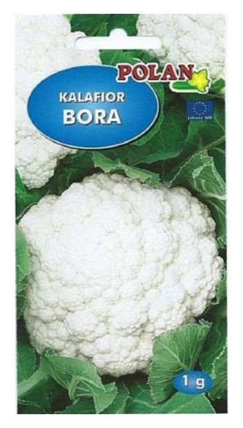 Kalafior Bora 1g Polan