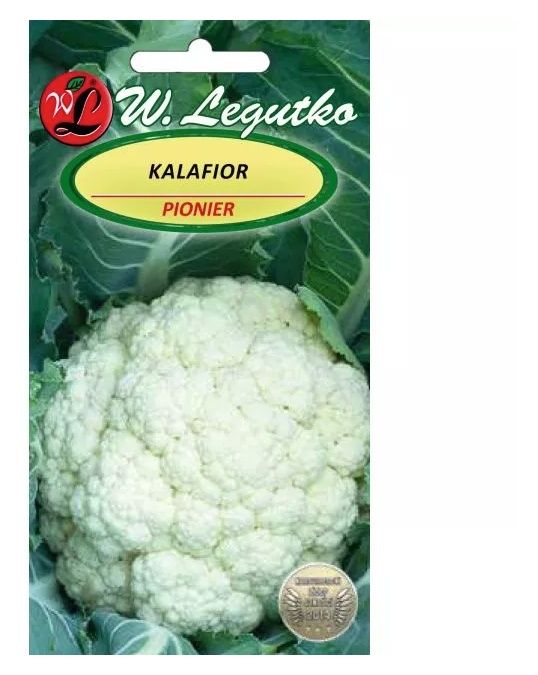 Kalafior PIONIER 1g Legutko