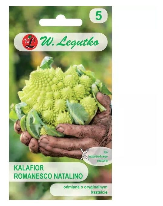 Kalafior Romanesco 1g Legutko