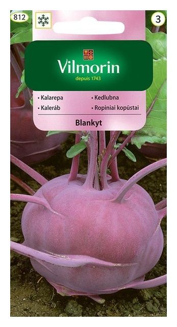 Kalarepa fioletowa Blankyt 2g Vilmorin
